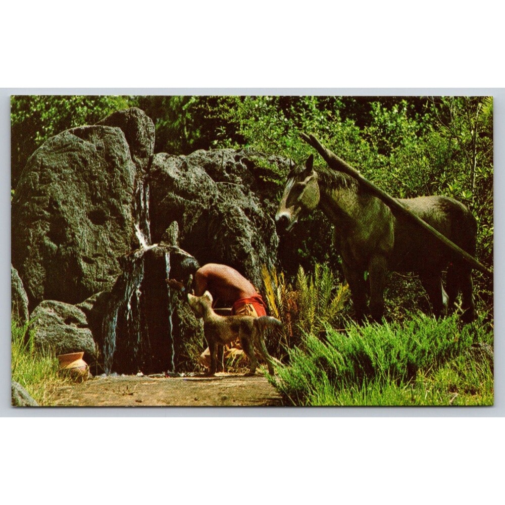 Postcard FL Walt Disney World Frontierland Animals Indians Unposted c1970s